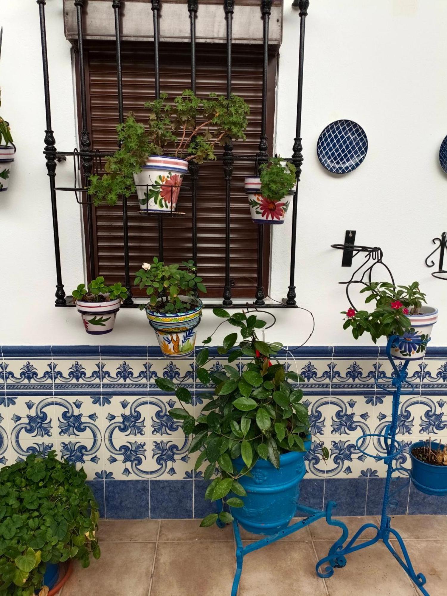 Casa Rural Patio Rociero El Rocío Zewnętrze zdjęcie